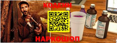 крисы Можга