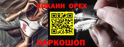 крисы Можга
