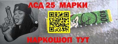 крисы Можга