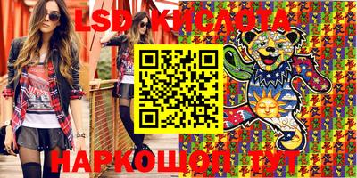 крисы Можга