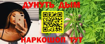 крисы Можга