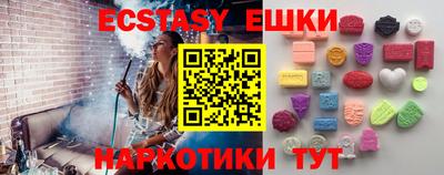 крисы Можга
