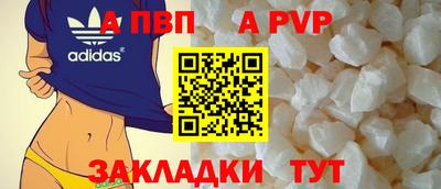 крисы Можга