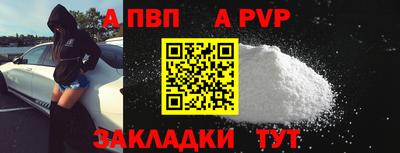крисы Можга