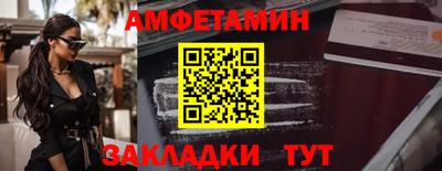 крисы Можга