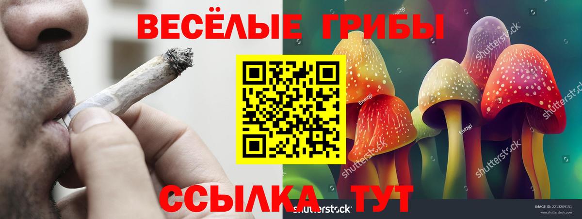 Галлюциногенные грибы GOLDEN TEACHER Тобольск
